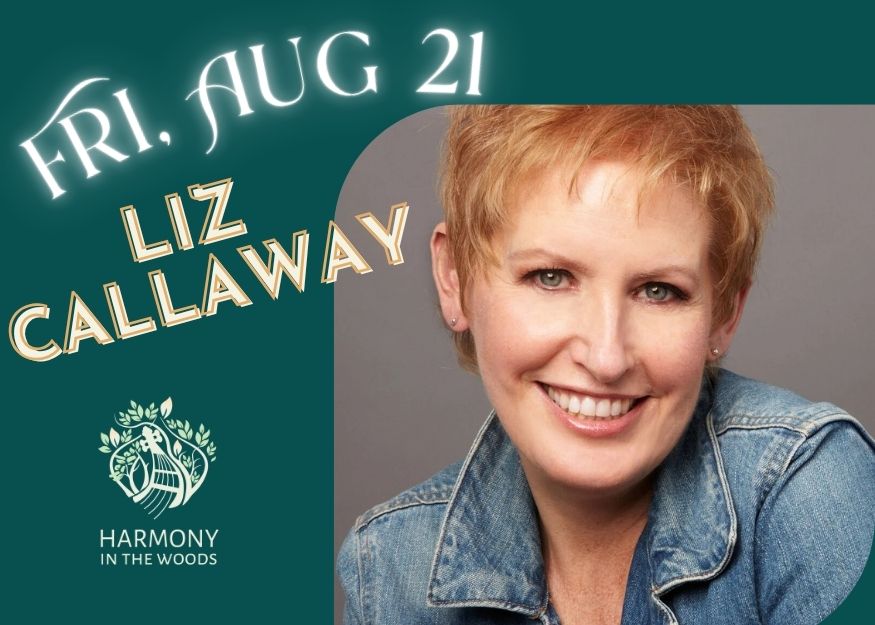 Read more about the article Liz Callaway: Broadway & Beyond