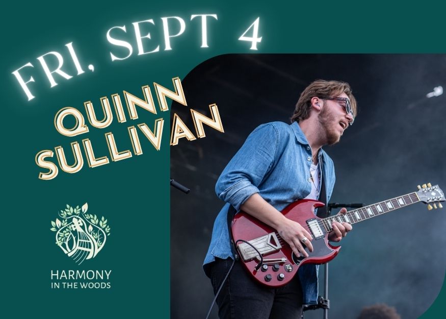 Read more about the article Quinn Sullivan
