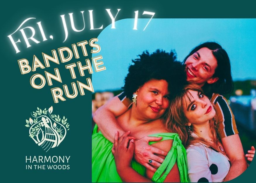 Read more about the article Bandits on the Run